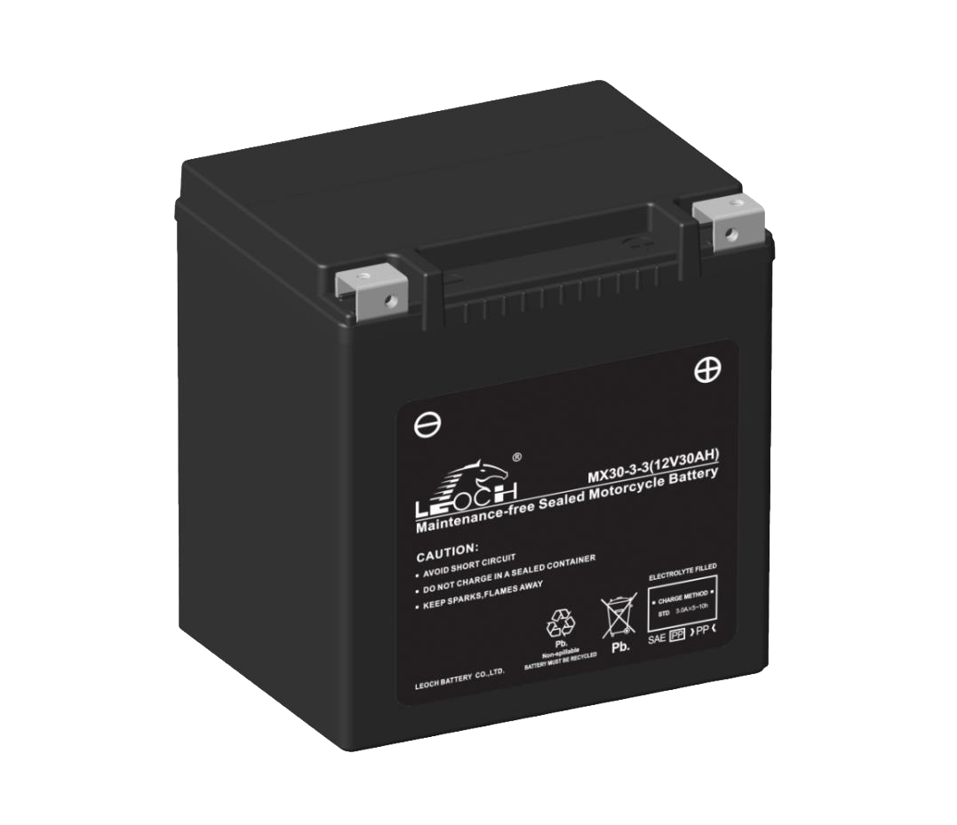 LEOCH -BIKE AGM 12V 30Ah Startaccu