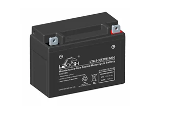 LEOCH Bike AGM 12V 6.5Ah Starter Battery