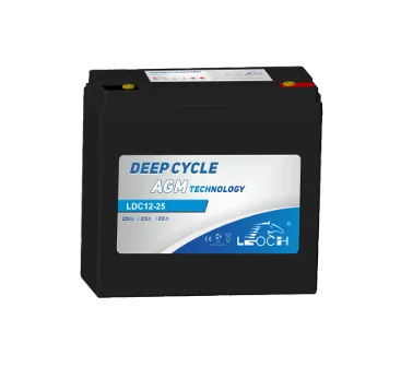 LEOCH LDC AGM 12V 24Ah Deep Cycle Accu